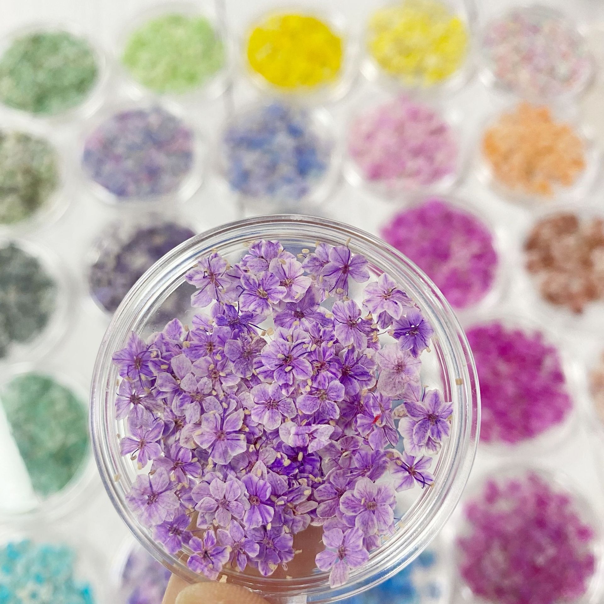 japanese nail art small floral prints, dried flower embroidery, diy nail art flower(50pcs/jar)