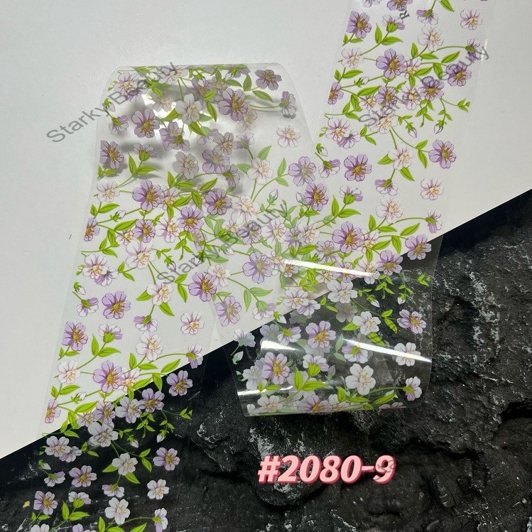 2080-9